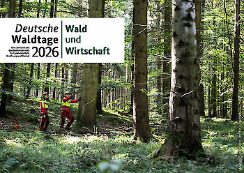 Die Deutschen Waldtage stehen dieses Jahr unter dem Motto „Wälder & Wirtschaft“